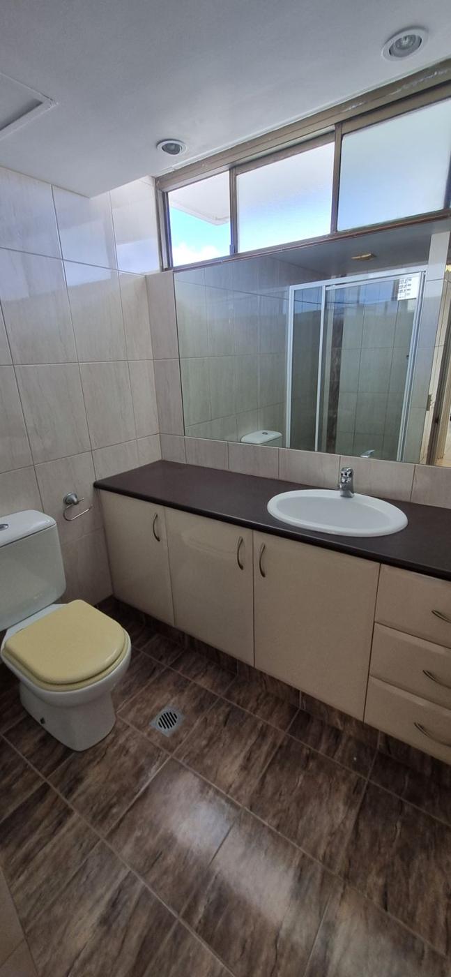 Bathroom vanity and shower screen